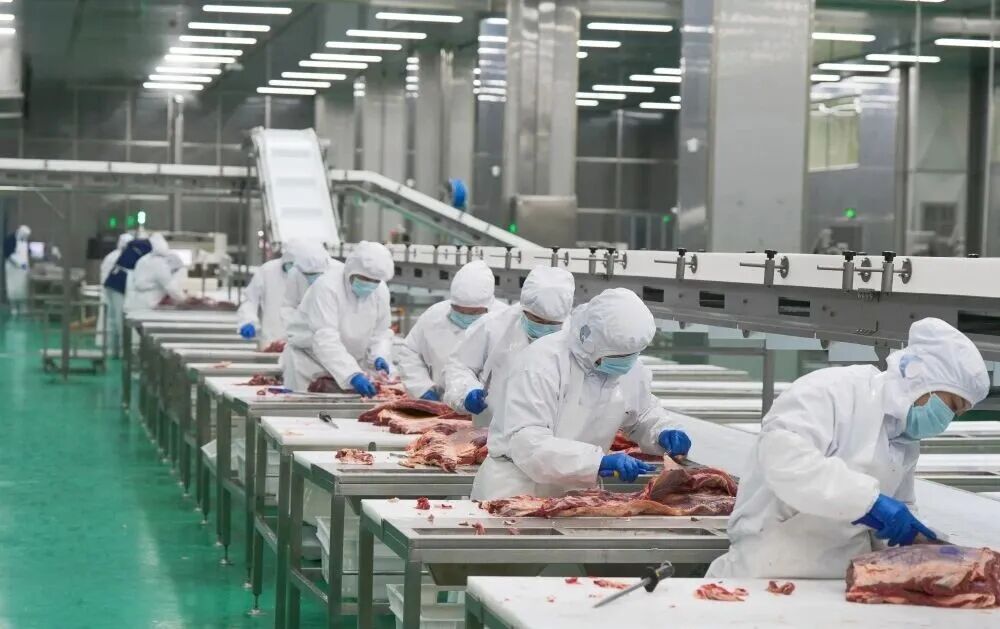 新年開好局！河南新城三大項(xiàng)目齊發(fā)力，凈化科技繪就生態(tài)新畫卷